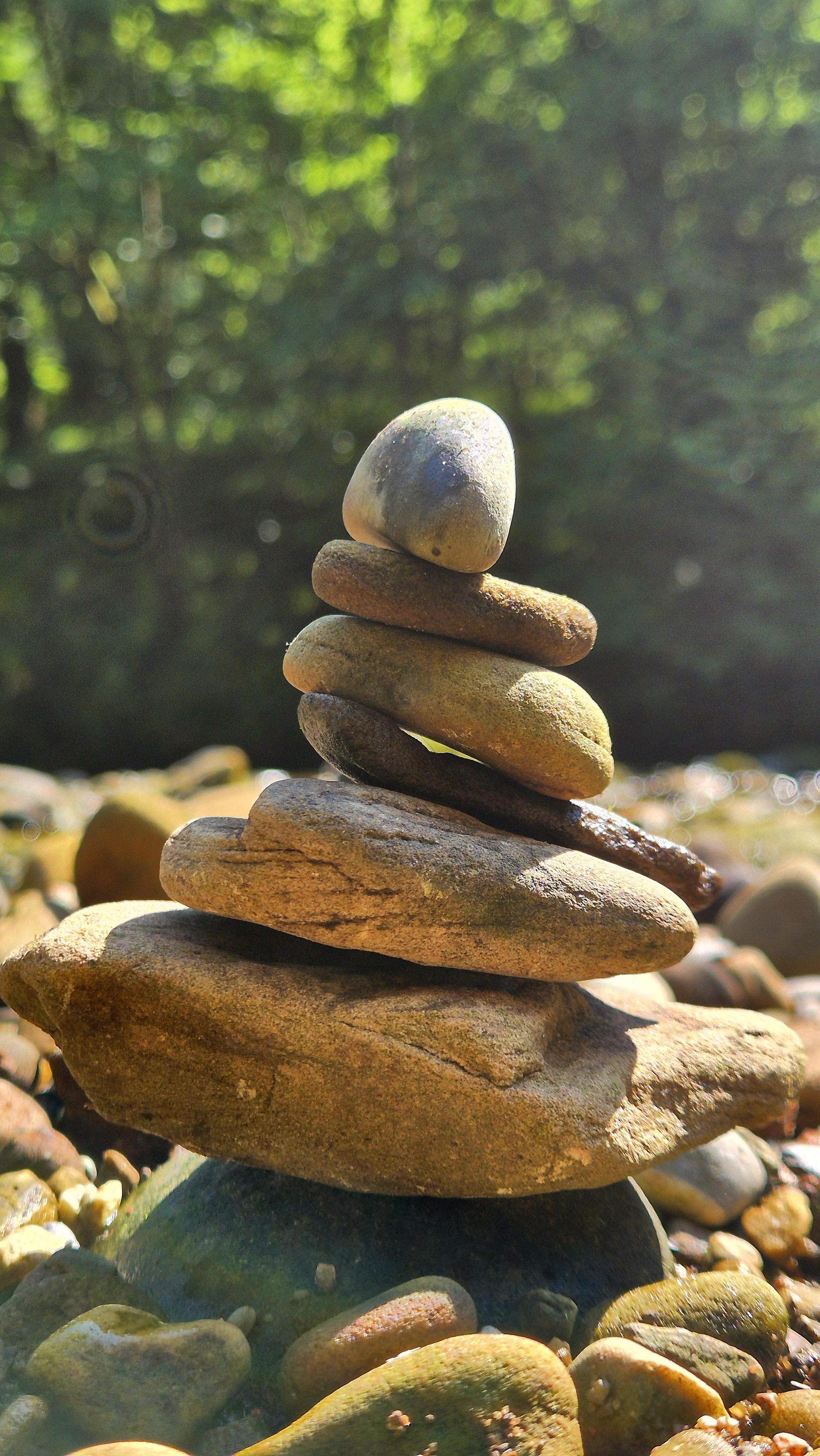 Rocks.